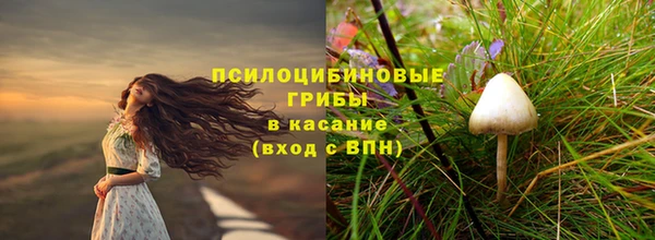 герыч Арсеньев