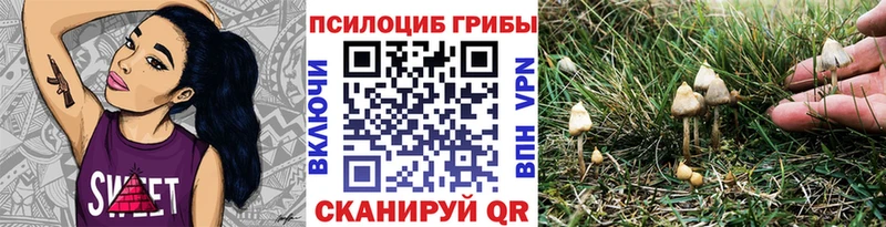 Псилоцибиновые грибы Magic Shrooms  mega как зайти  Шелехов 